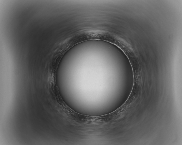 X0000115551061200911061528
