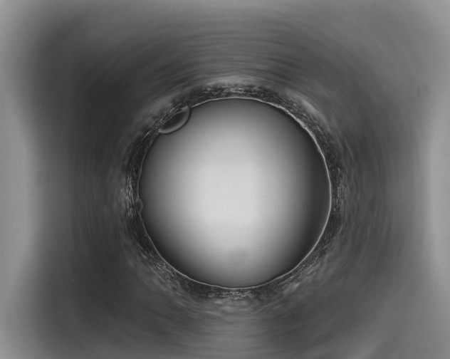 X0000115551062200911061528