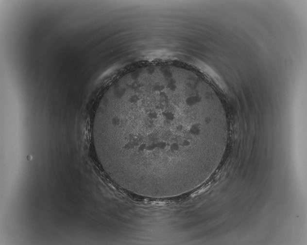 X0000115551063200911061528