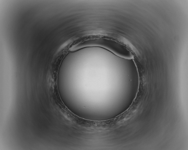 X0000115551064200911061528