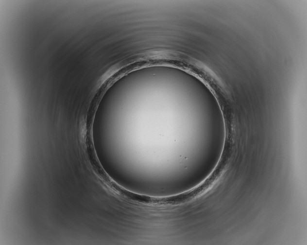 X0000115551065200911061528