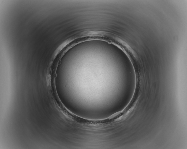 X0000115551066200911061528