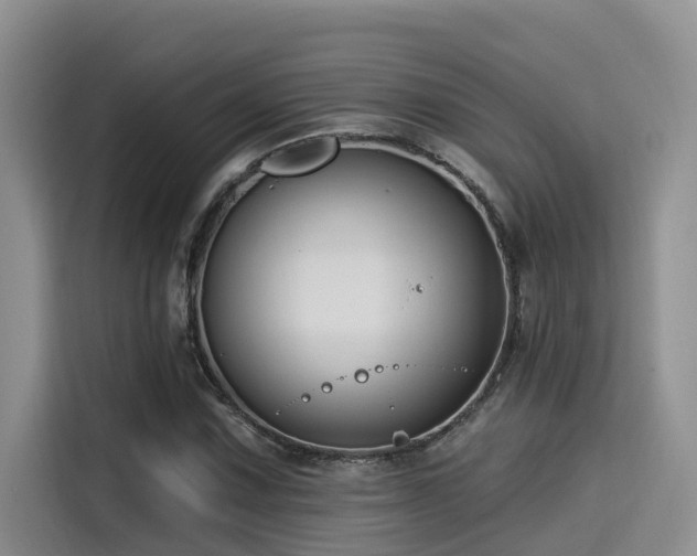 X0000115551067200911061528