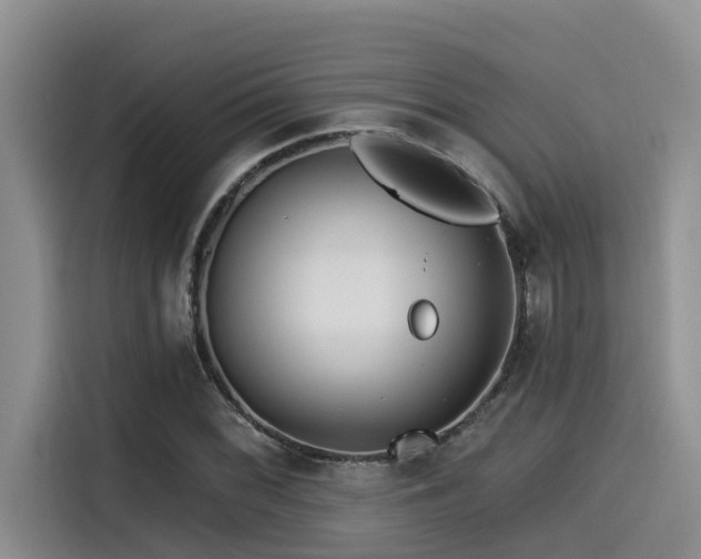 X0000115551068200911061528