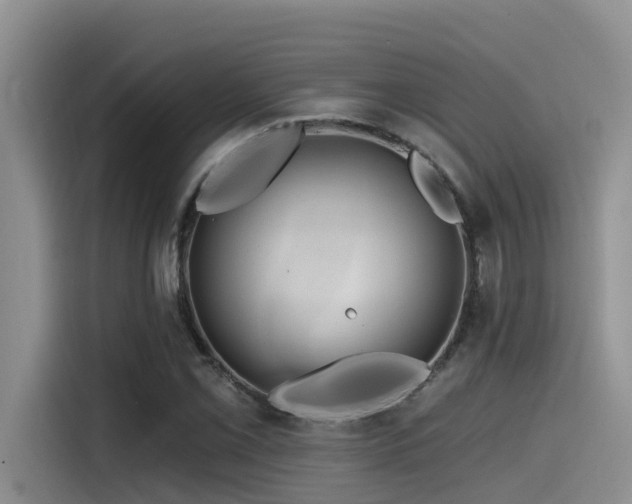 X0000115551069200911061528