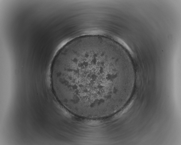 X0000115551071200911061528