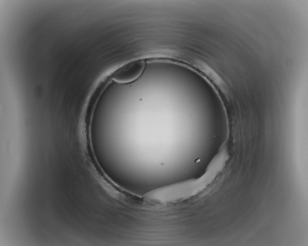 X0000115551072200911061528