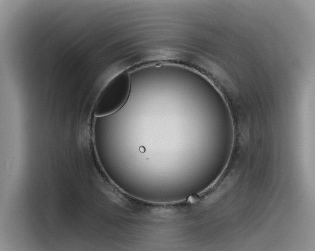X0000115551073200911061528