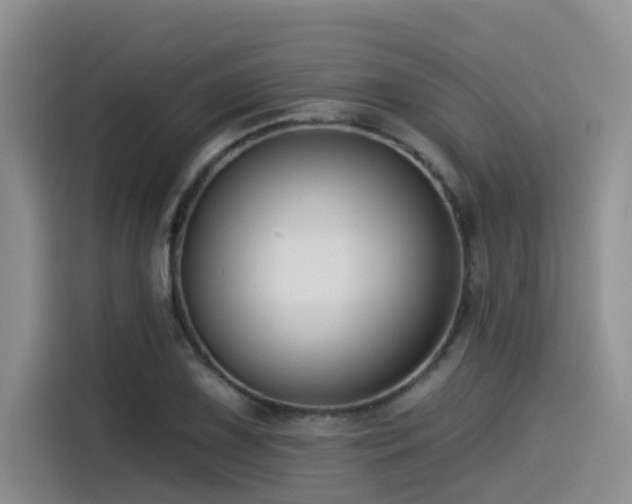 X0000115551075200911061528