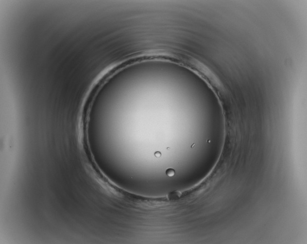X0000115551076200911061528