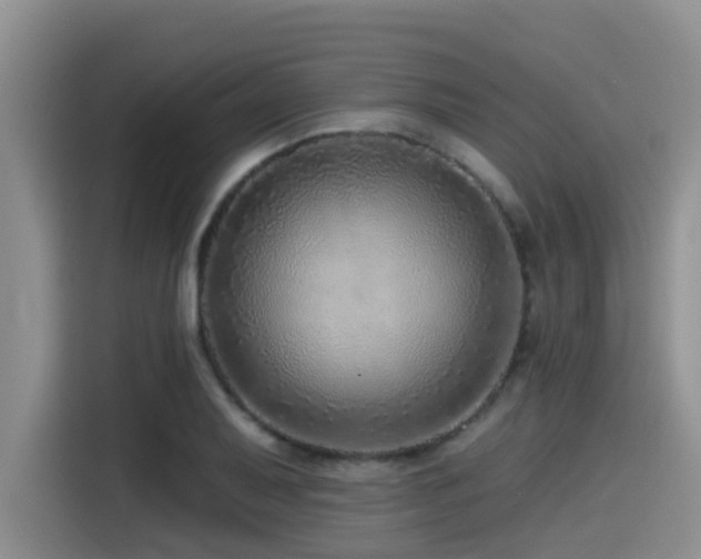 X0000115551079200911061528