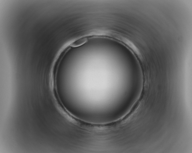 X0000115551080200911061528