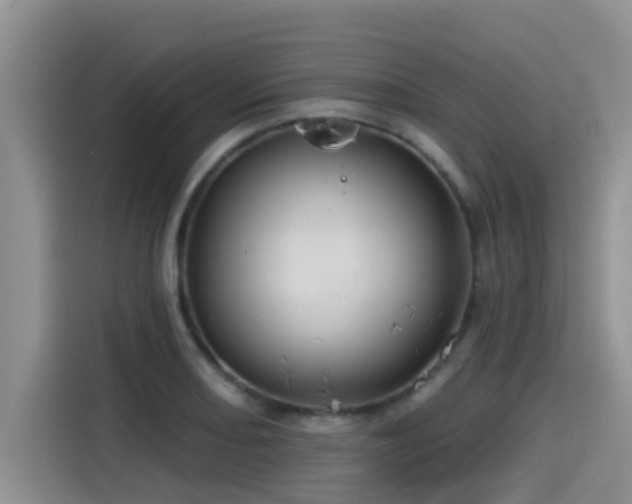 X0000115551082200911061528
