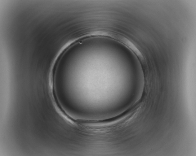 X0000115551084200911061528