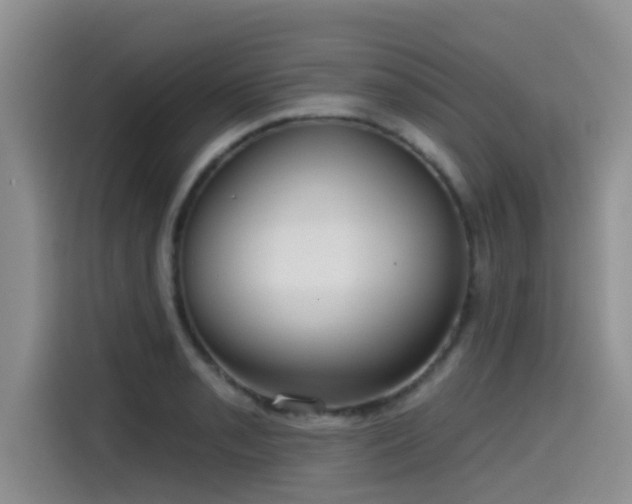 X0000115551085200911061528