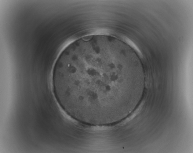 X0000115551087200911061528