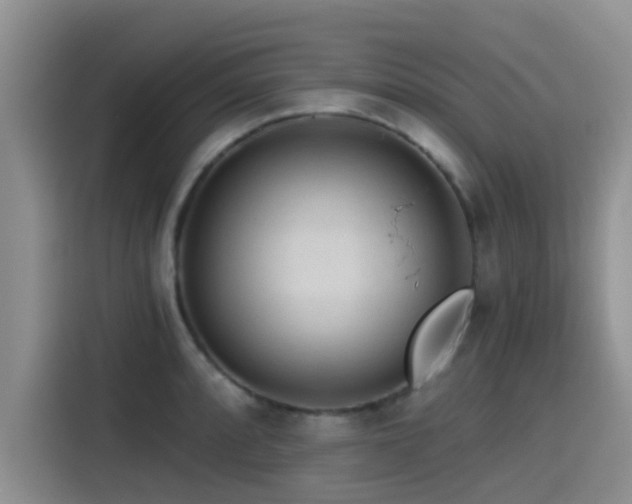 X0000115551088200911061528