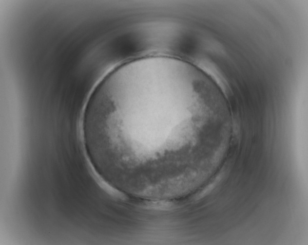 X0000115551090200911061528