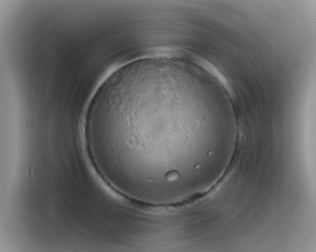 X0000115551091200911061528