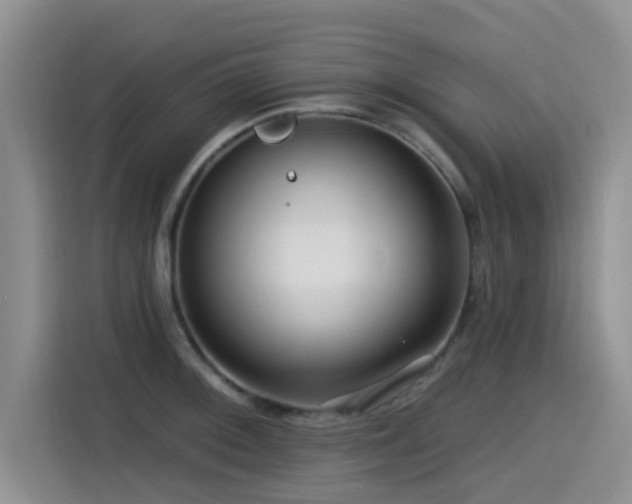 X0000115551092200911061528