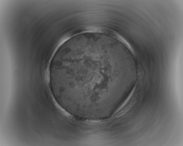 X0000115551095200911061528