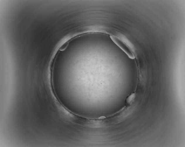 X0000115551096200911061528