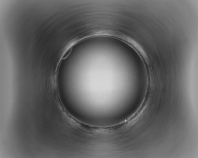 X0000115551097200911061528