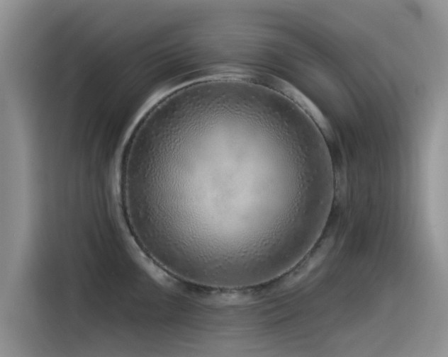 X0000115551099200911061528