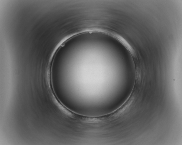 X0000115551100200911061528