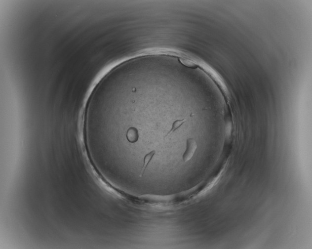 X0000115551102200911061528