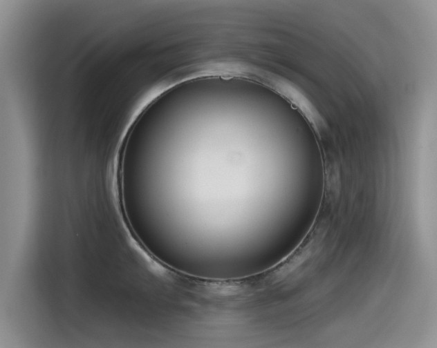 X0000115551103200911061528