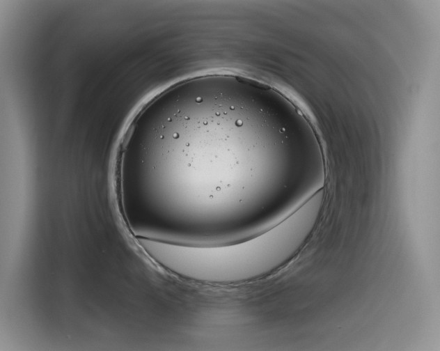 X0000115551104200911061528