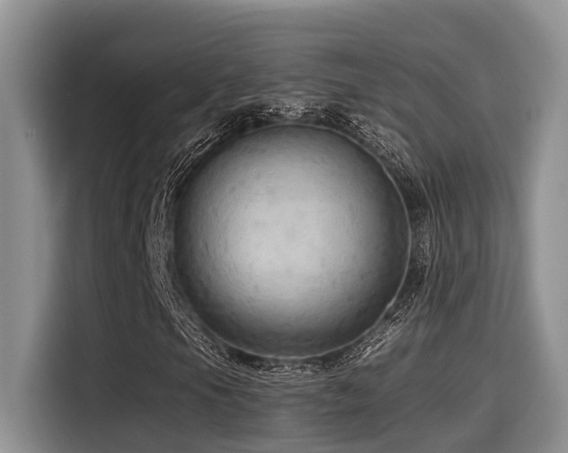 X0000115551105200911061527