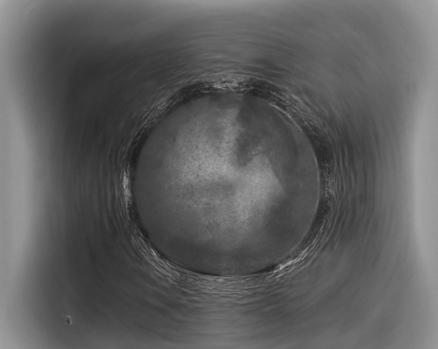 X0000115551106200911061527