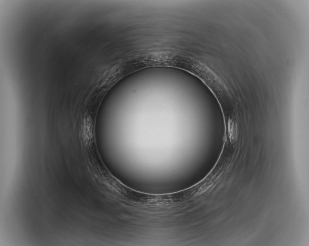 X0000115551107200911061527