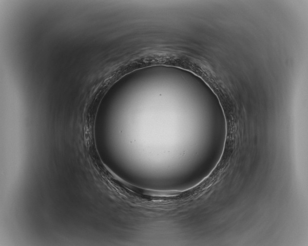 X0000115551109200911061527