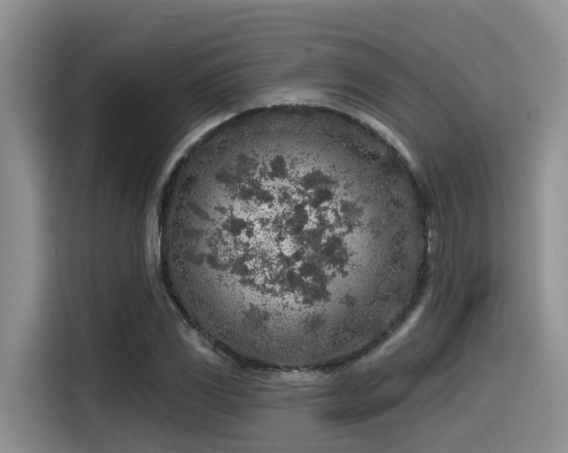 X0000115551117200911061527
