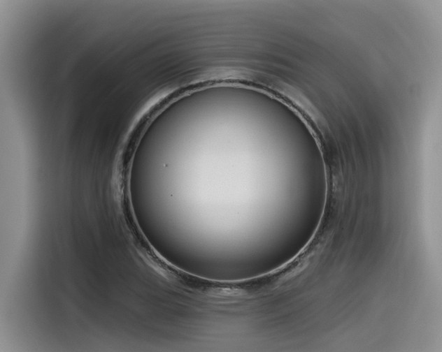 X0000115551119200911061527