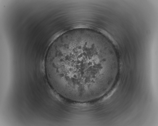 X0000115551121200911061527