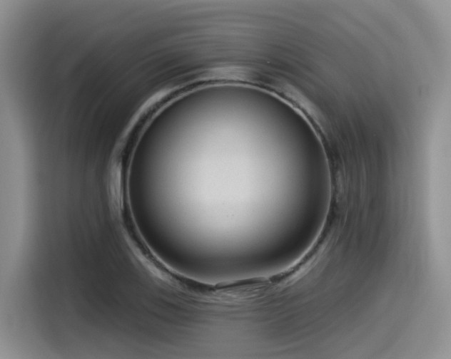 X0000115551123200911061527