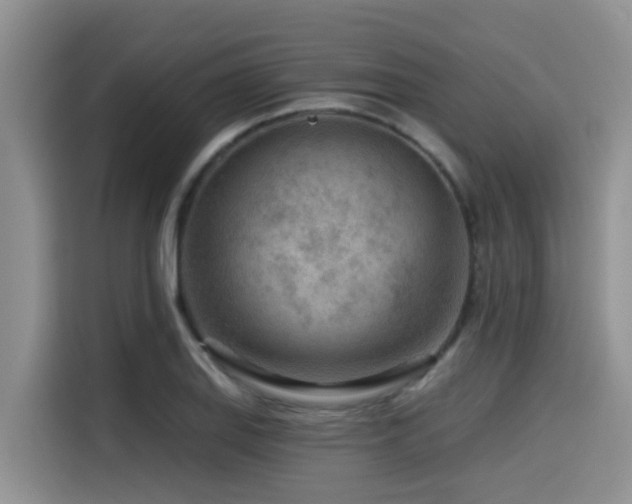 X0000115551127200911061527