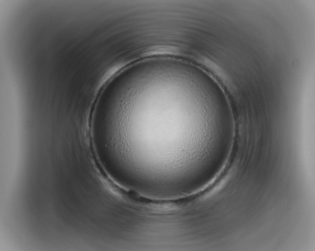 X0000115551129200911061527