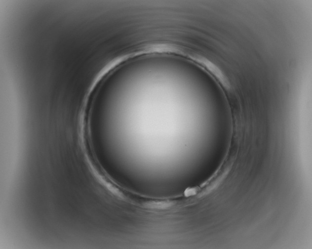 X0000115551134200911061527