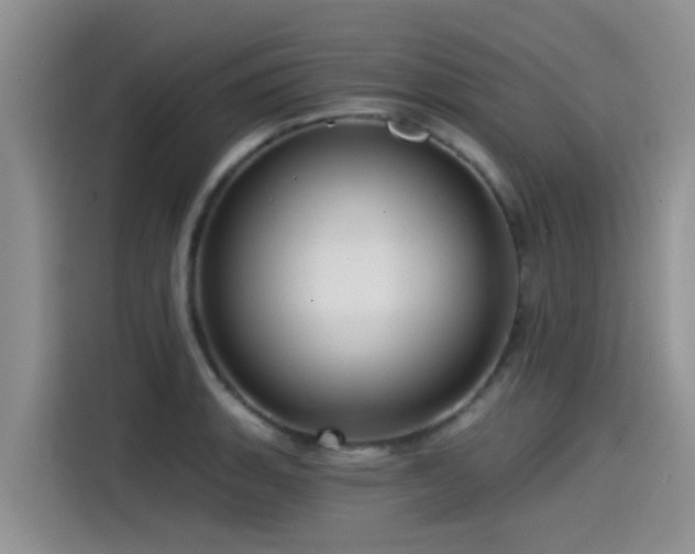 X0000115551135200911061527