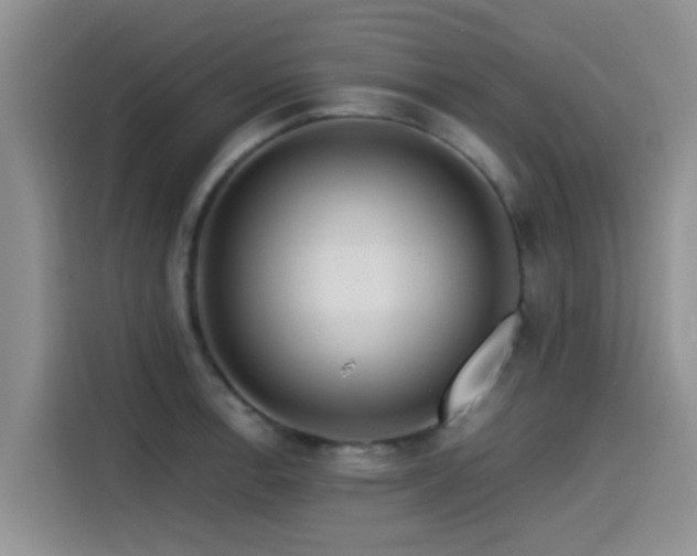 X0000115551138200911061528