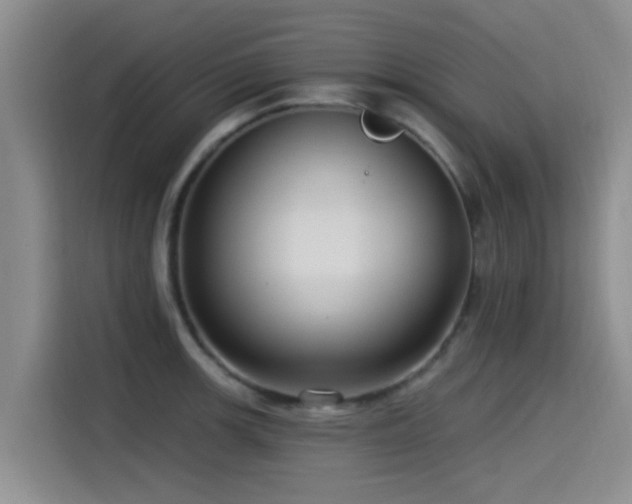 X0000115551139200911061528