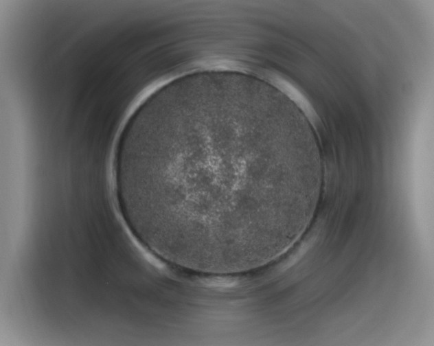 X0000115551141200911061528