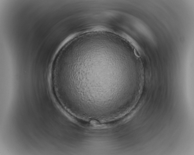 X0000115551142200911061528