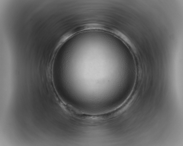 X0000115551145200911061528