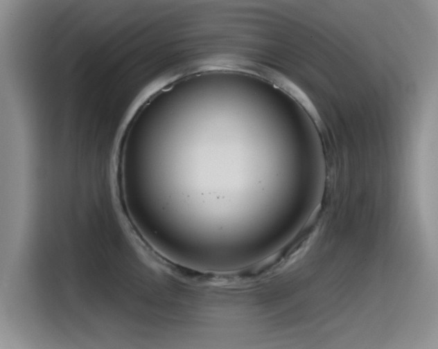 X0000115551146200911061528